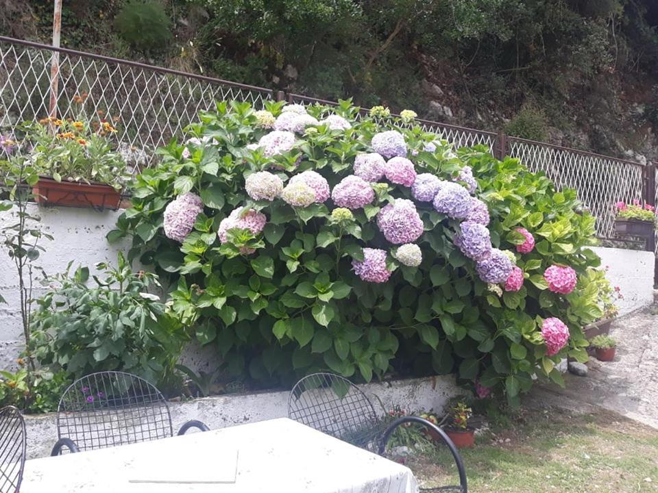 Barbarez Guest House تْشيرسيك نوفي المظهر الخارجي الصورة